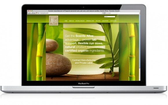 toronto website design-brand-development-toronto image