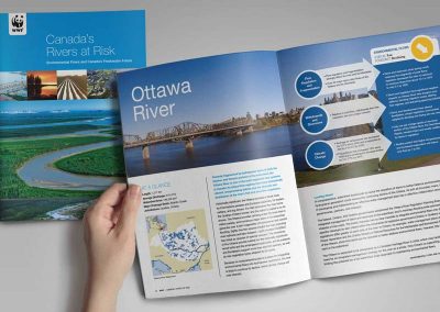 WWF-report-brand-development-toronto image