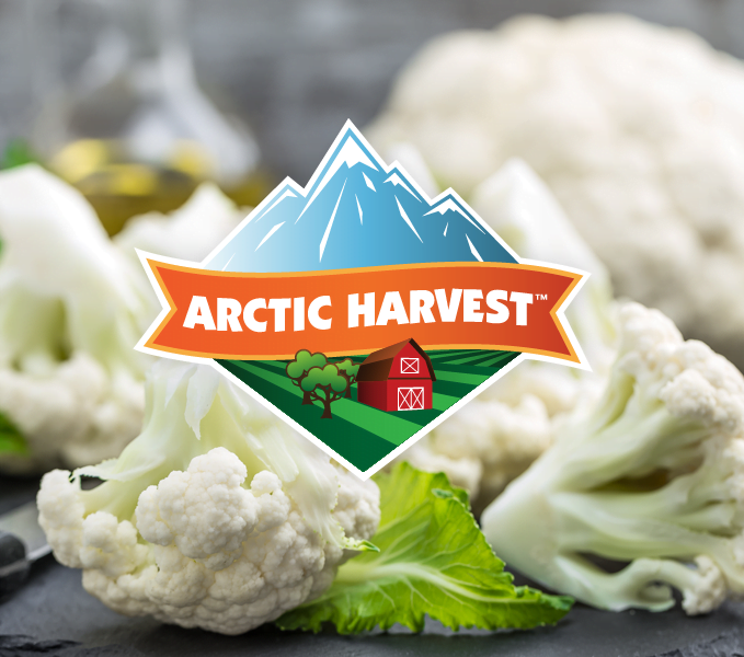 arctic harvest-brand-development-toronto image
