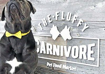 the-fluffy-carnivore-sign-brand-development-toronto image