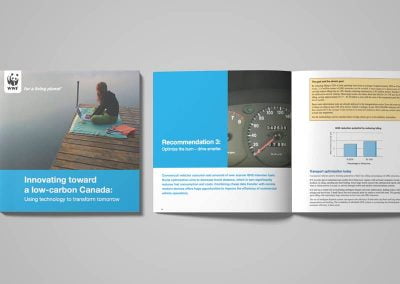 wwf-brochure-brand-development-toronto image
