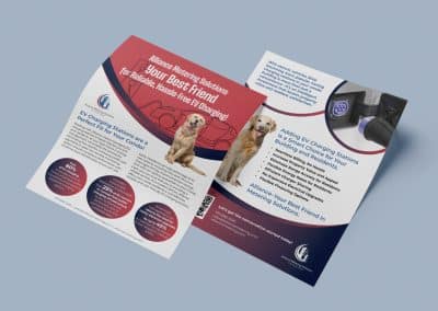 Alliance Metering Expo Flyer Event Marketing