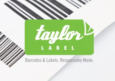 Impactful logo design services for small businesses in Toronto