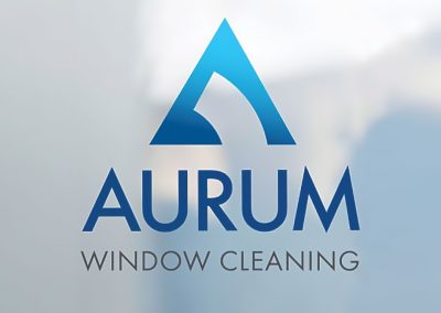 Strategic logo design crafted to dominate competitive markets