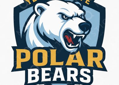 high quality custom sports mascot design toronto mystique athlete team identity