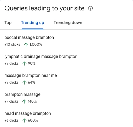 SEO for spas, massage clinics, and wellness businesses